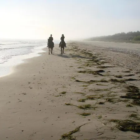 Hotel Friesenhof Hotel-restaurant-reitanlage 4*