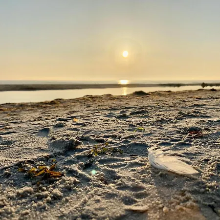 Hotel Friesenhof Hotel-restaurant-reitanlage