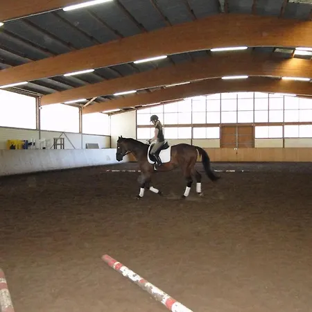 Friesenhof Hotel-restaurant-reitanlage 4*