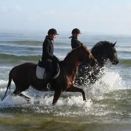 Hotel Friesenhof Hotel-restaurant-reitanlage 4*