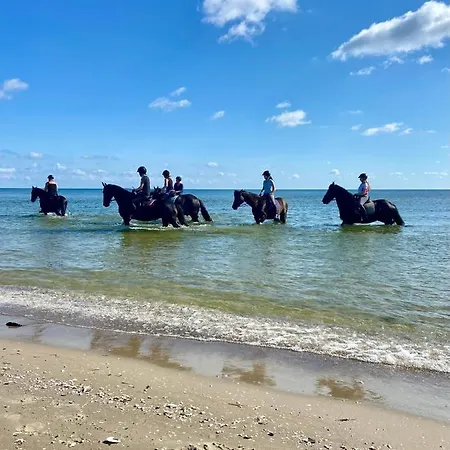 Friesenhof Hotel-restaurant-reitanlage Hotel