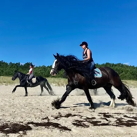 Hotel Friesenhof Hotel-restaurant-reitanlage