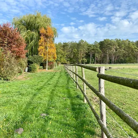 Friesenhof Hotel-restaurant-reitanlage