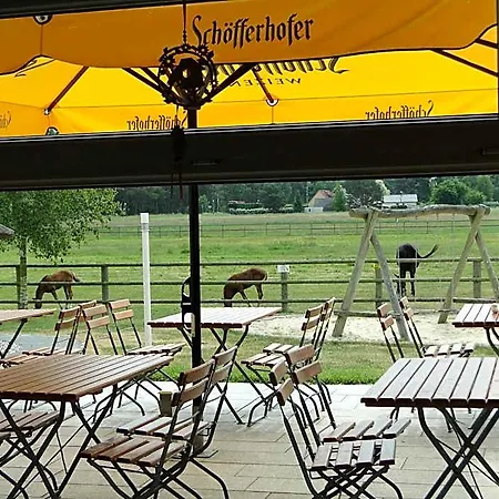 Hotel Friesenhof Hotel-restaurant-reitanlage 4*