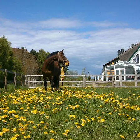 Friesenhof Hotel-restaurant-reitanlage 4* トラッセンハイデ