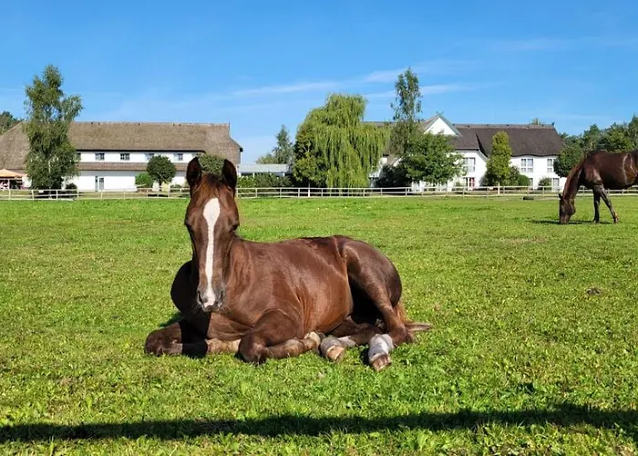Friesenhof Hotel-restaurant-reitanlage Трассенхайде